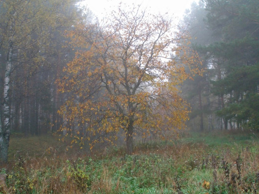 34064 (a): :1024x768